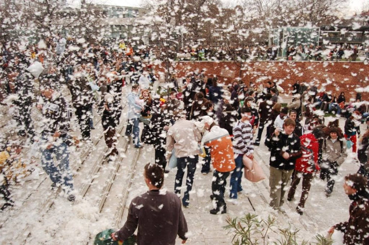 Wielka Warszawska Bitwa na Poduszki