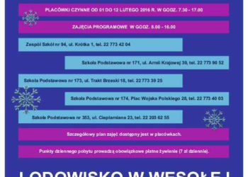 Zima w mieście – Wesoła