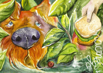 „Grypula” – wydajmy ją razem!