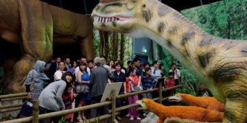 Ostatnia szansa na spotkanie z „Dinozaurami na żywo” w Warszawie! Pradawne gady ruszają w Polskę, kolejny przystanek to Śląsk