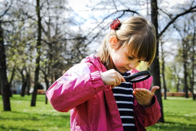 NADWORNI PRZYRODNICY program dla rodzin