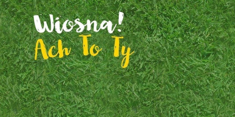 Warsztaty plastyczne: WIOSNA ACH TO TY!