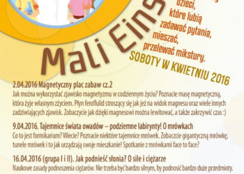 Mali Einsteini: Tajemnice świata owadów – podziemne labirynty! O mrówkach