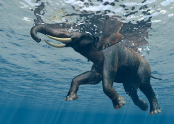 Niezapomniany Dzień Dziecka według tripsta.pl