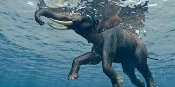 Niezapomniany Dzień Dziecka według tripsta.pl