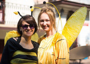 W pszczelej krainie! Przepis na fantastyczny dzień otwarty w przedszkolu