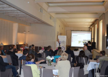 Dlaczego warto mieć kota na punkcie mleka?