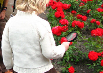 TAJEMNICE KWIATÓW warsztaty przyrodnicze dla rodzin z dziećmi