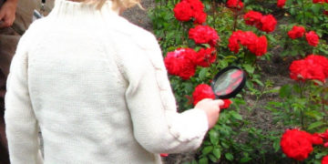 TAJEMNICE KWIATÓW warsztaty przyrodnicze dla rodzin z dziećmi