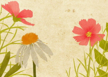 Warsztaty plastyczne dla dzieci – Flower Forever