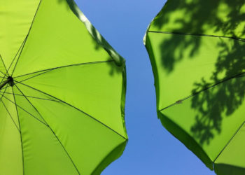 POD PARASOLKAMI letnie warsztaty przyrodniczo-plastyczne