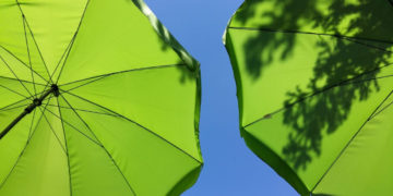 POD PARASOLKAMI letnie warsztaty przyrodniczo-plastyczne