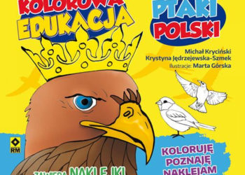 Kolorowej edukacji ciąg dalszy