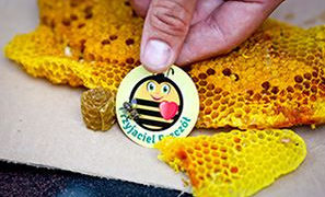 Niespotykany pszczeli tramwaj już w środę 3.08 przejedzie ulicami Warszawy  – to zapowiedź IV ogólnopolskiego Wielkiego Dnia Pszczół!