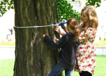 WILANOWSCY REKORDZIŚCI wycieczka przyrodnicza