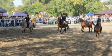 Piknik rodzinny w Stajni Pociecha