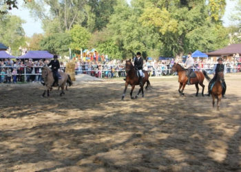 Piknik rodzinny w Stajni Pociecha