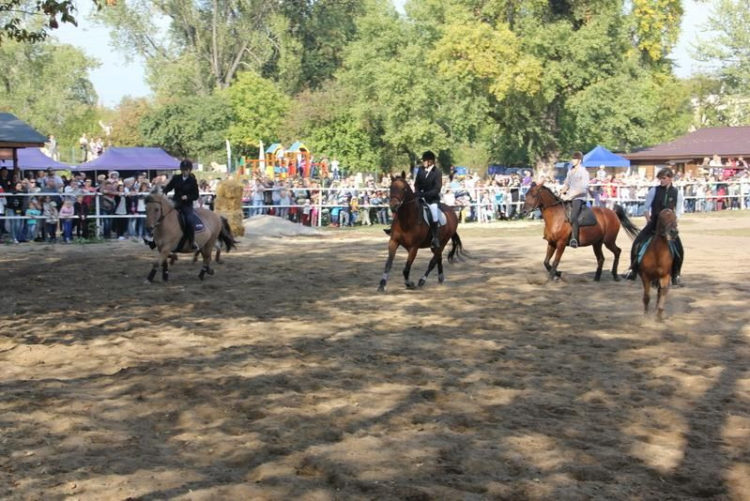 Piknik rodzinny w Stajni Pociecha