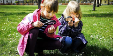 MIKROŚWIAT POROSTÓW warsztaty dla rodzin z dziećmi