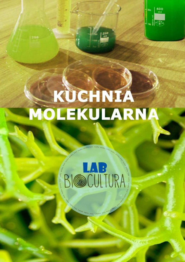 Kuchnia molekularna czyli glony w laboratorium
