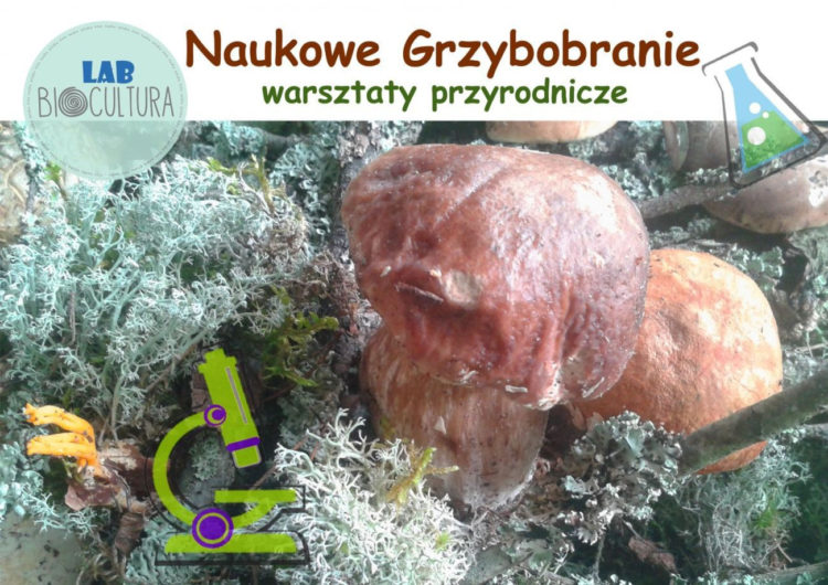Naukowe Grzybobranie – warsztaty przyrodnicze
