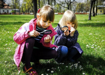 WILANOWSKI KLUB PRZYRODNICZY – warsztaty dla rodzin z dziećmi