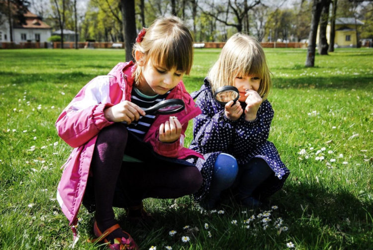 WILANOWSKI KLUB PRZYRODNICZY – warsztaty dla rodzin z dziećmi