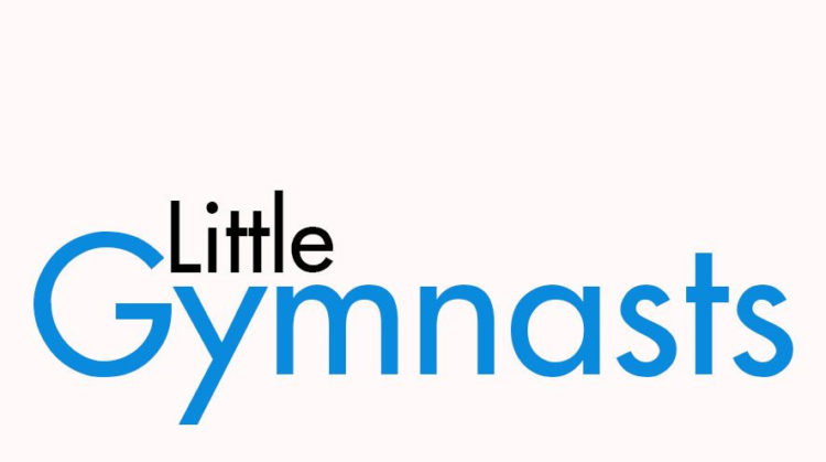 Warszawskie Towarzystwo Gimnastyczne