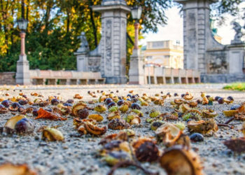 BEZPŁATNY LISTOPAD W REZYDENCJACH KRÓLEWSKICH Muzeum Pałacu Króla Jana III w Wilanowie