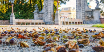 BEZPŁATNY LISTOPAD W REZYDENCJACH KRÓLEWSKICH Muzeum Pałacu Króla Jana III w Wilanowie