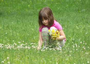 Ponad połowa polskich przedszkoli uczy dzieci ekologicznych zachowań dzięki akcji edukacyjnej „Kubusiowi Przyjaciele Natury”