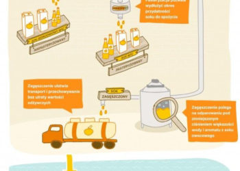 Soki i ich rodzaje – co warto wiedzieć