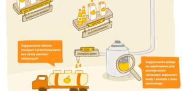 Soki i ich rodzaje – co warto wiedzieć