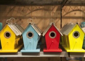 Karmnik dla ptaków – warsztaty dla dzieci