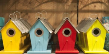 Karmnik dla ptaków – warsztaty dla dzieci