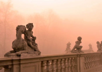 ŻYWE HISTORIE OGRODOWYCH RZEŹB | wycieczka przyrodnicza