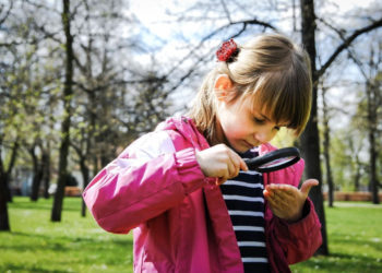 TROPY I ŚLADY ZWIERZĄT | warsztaty