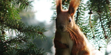 ZAJĘCIA PRZYRODNICZE DLA RODZIN Z DZIEĆMI park wilanowski | listopad 2016