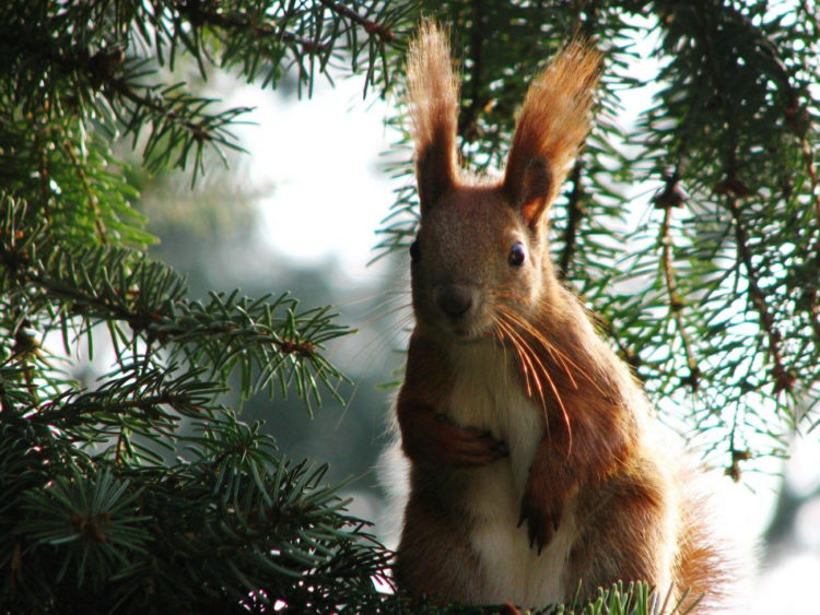 ZAJĘCIA PRZYRODNICZE DLA RODZIN Z DZIEĆMI park wilanowski | listopad 2016