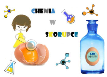 WARSZTATY „CHEMIA W SKORUPCE” W BIOCULTURZE