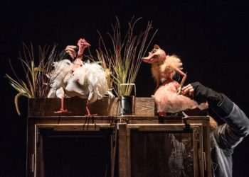 TEATR POLSKI DZIECIOM: Podróże Guliwera