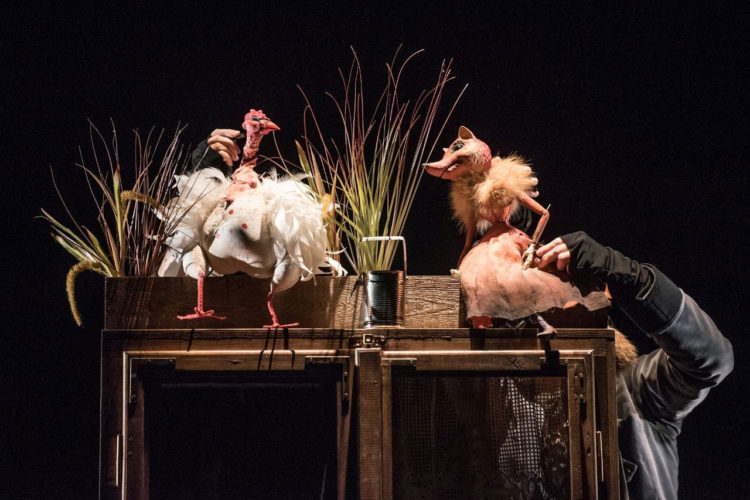 TEATR POLSKI DZIECIOM: Podróże Guliwera