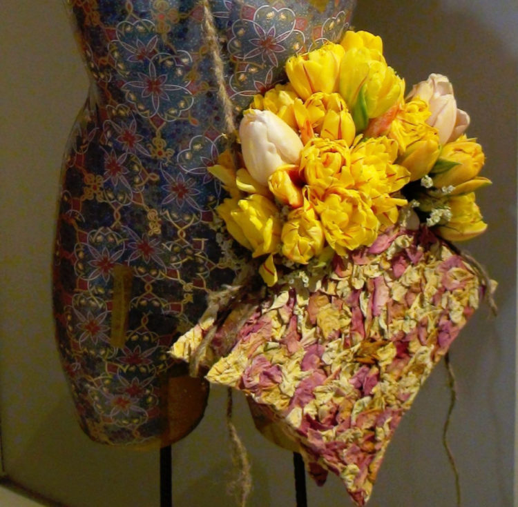 IX WYSTAWA TULIPANÓW w WILANOWIE