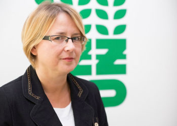 CZY WIESZ, CO KRYJE W SOBIE MARCHEWKA?