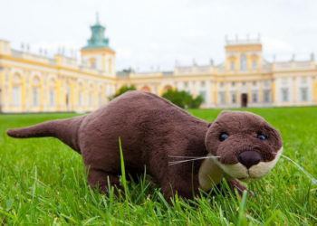 MUZEUM PAŁACU KRÓLA JANA III w WILANOWIE warsztaty przyrodnicze dla rodzin | kwiecień 2017 r.