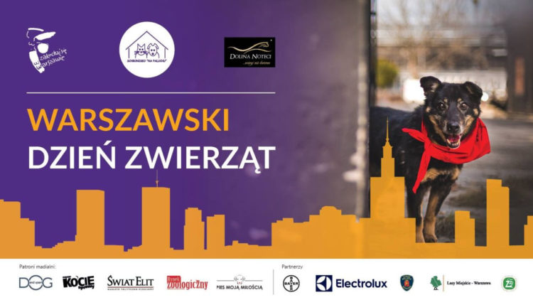 Warszawski Dzień Zwierząt