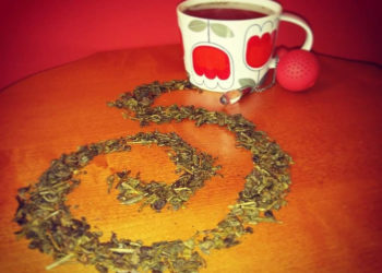 Herbaciane Opowieści – Festiwal Przenikania