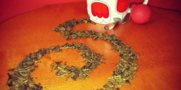 Herbaciane Opowieści – Festiwal Przenikania