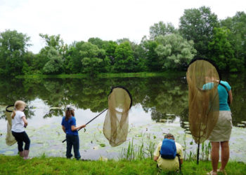 MUZEUM PAŁACU KRÓLA JANA III w WILANOWIE spacery i warsztaty przyrodnicze dla rodzin | maj 2017 r.