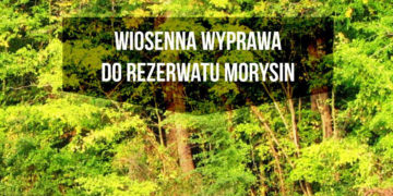 WIOSENNA WYPRAWA do REZERWATU MORYSIN warsztaty dla rodzin z dziećmi